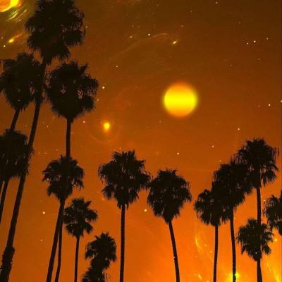 南宫体育app下载安装截图